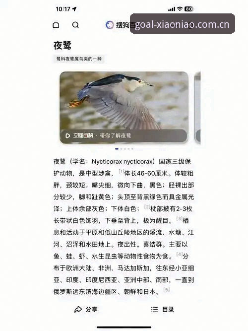 小鸟体育替代入口2026 小鸟体育替代入口2026迁移配置操作教程:从数据对比到实战部署